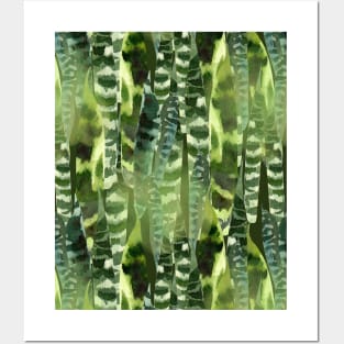 Sansevieria Posters and Art